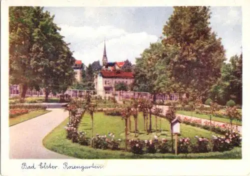 AK, Bad Elster, Rosengarten, Farbdruck, ca. 1950