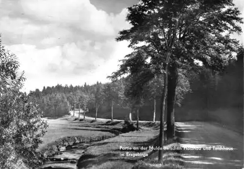 AK, Holzhau Erzgeb., Partie an der Mulde zwischen Holzhau und Teichhaus, 1971