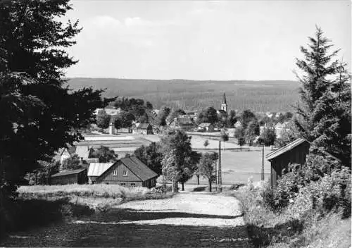 AK, Hammerbrücke Vogtl., Teilansicht mit Kirche, 1965