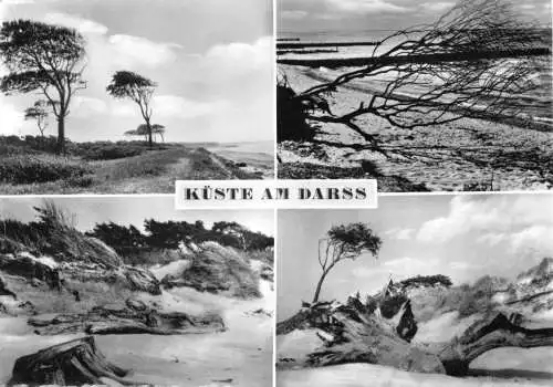 AK, Küste am Darß, vier Abb., 1965