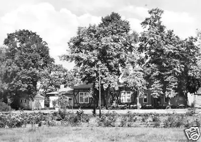 AK, Lübben Spreewald, HOG "Haus Burglehn", 1970