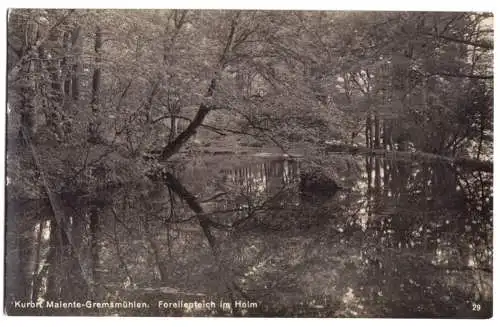 AK, Malente-Gremsmühlen, Forellenteich im Holm, 1927