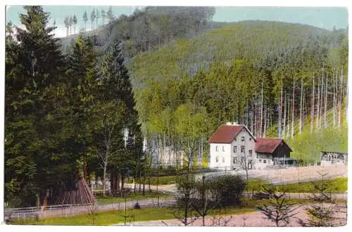 Ansichtskarte, Seesen a. Harz, Forsthaus Neckelnberg, 1918