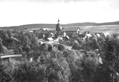 AK, Benneckenstein, Gesamtansicht mit Gondelteich, 1982