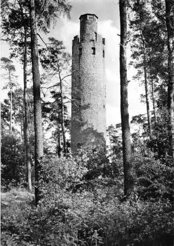 Ansichtskarte, Gneisenaustadt Schildau, Schildbergturm, 1965