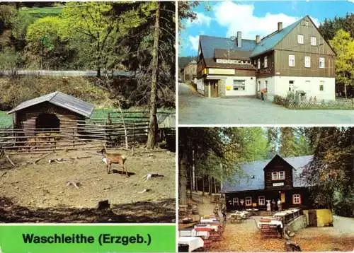 AK, Waschleite Erzgeb., drei Abb., 1984