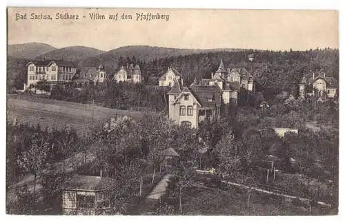 AK, Bad Sachsa, Südharz, Villen auf dem Pfaffenberg, 1916