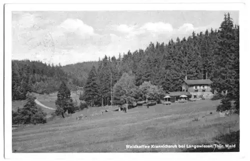 AK, Langenwiesen Thür. Wald, Waldkaffee Kranichsruh, 1957