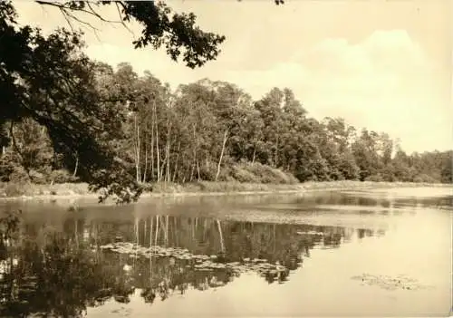 AK, Schmannewitz Kr. Oschatz, Am Pumpenteich, 1968