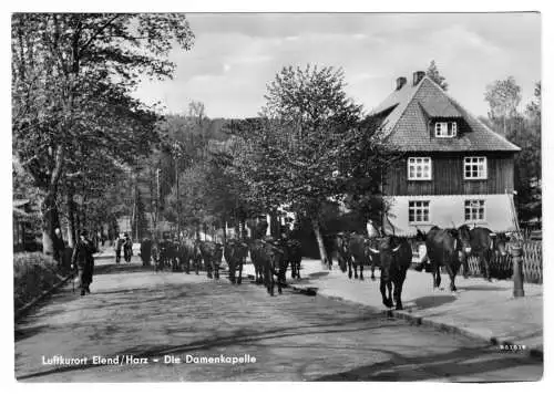 AK, Elend Harz, Straßenpartie mit Damenkapelle, 1958
