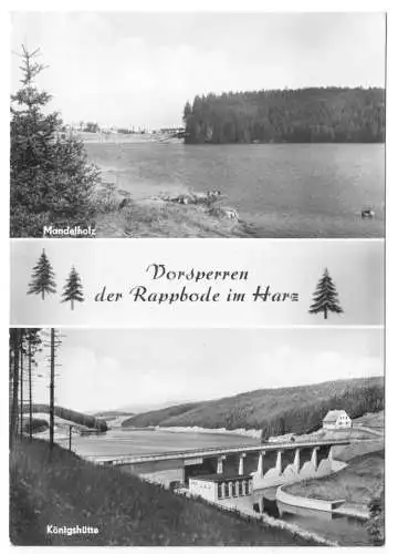 AK, Mandelholz Kr. Wernigerode, Vorsperren der Rappbode im Harz, 1965