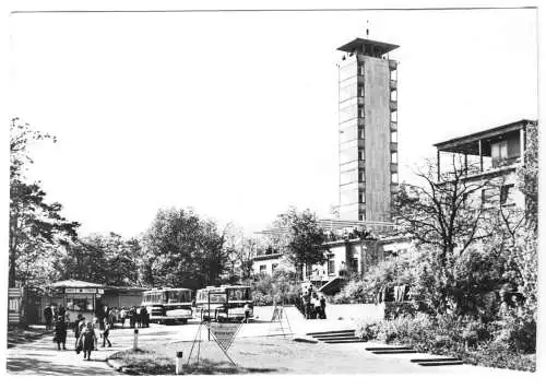 AK, Berlin Köpenick, Müggelturm mit Kiosk und Bussen, belebt, 1970