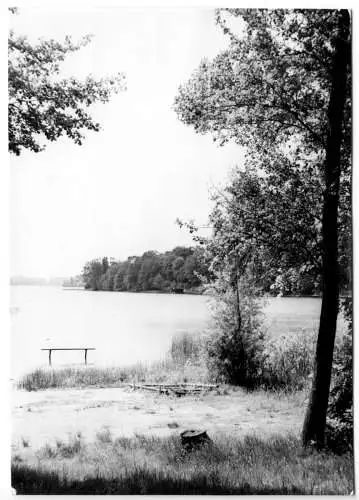 AK, Potsdam Sacrow, Partie am Sakrower See, 1973