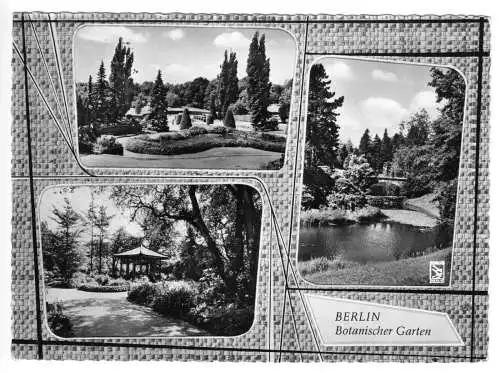 AK, Berlin Dahlem, Botanischer Garten, drei Abb., gestaltet, um 1963