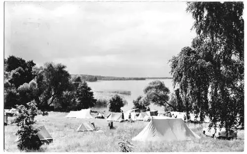 AK, Himmelpfort Kr. Gransee, Campingplatz am Stolpsee, 1964