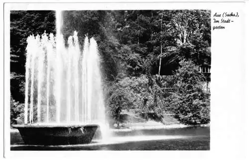 AK, Aue, Springbrunnen im Stadtgarten, 1955