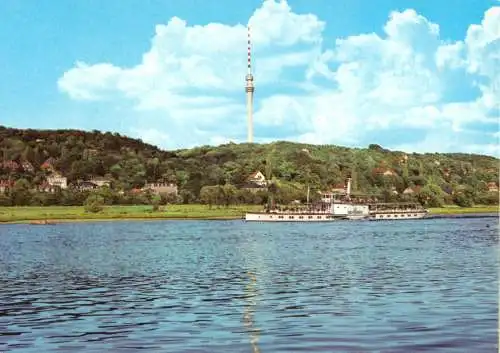 AK, Dresden Wachwitz, Blick zum Fernsehturm, Elbdampfer "Bad Schandau", 1981
