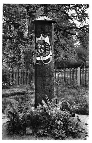 AK, Dahlen Kr. Oschatz, Jägereiche im Volkspark, 1961