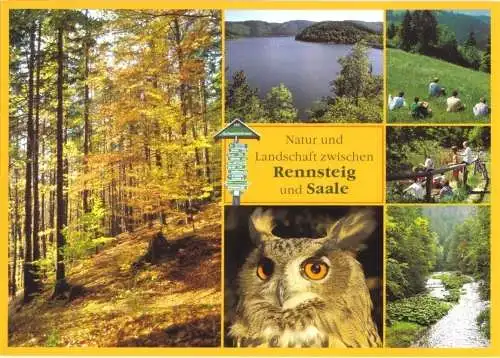 AK, Natur und Landschaft zwischen Rennsteig und Saale, sechs Abb., um 2005