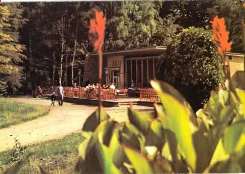 AK, Luckenwalde, HO-Café im Stadtpark, 1971