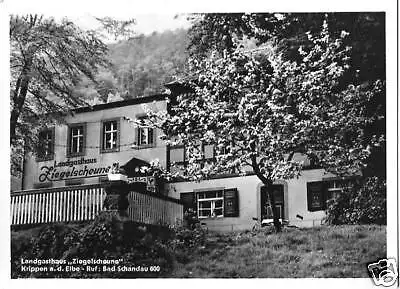 AK, Krippen a.d. Elbe, Landgasthaus "Ziegelscheune"