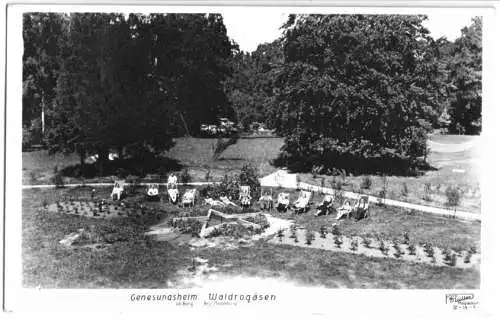 AK, Waldrogäsen Kr. Burg, Genesungsheim, Liegewiese, belebt, um 1957
