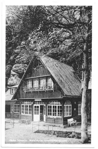 AK, Uttewalder Grund Sächs. Schweiz, Gaststätte Waldidylle, 1951