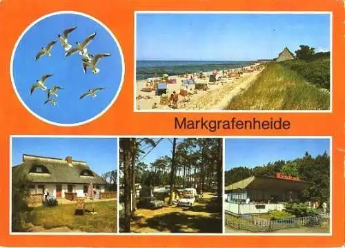AK, Rostock - Markgrafenheide, 5 Abb, u.a. Campingplatz