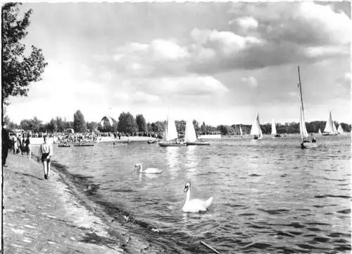 Ansichtskarte, Berlin Tegel, Partie am Tegeler See, belebt, um 1960
