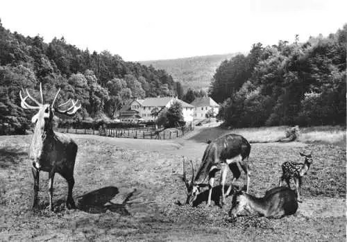 Ansichtskarte, Marxzell nördl. Schwarzw., Waldhotel Bergschmiede, um 1970