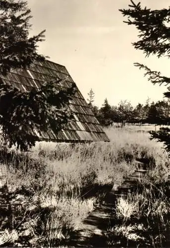 AK-Mappe mit 9 (-1) Foto-AK, Zinnwald-Georgenfeld, Georgenfelder Hochmoor, 1978