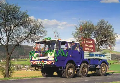 AK, Lkw, Tatra 813 6x6, 2013