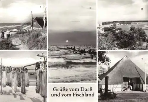 AK, Gruß vom Darß und vom Fischland, fünf Abb., 1984