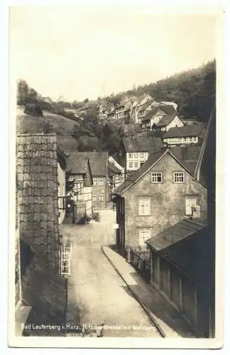 AK, Bad Lauterberg im Harz, Ritscherstr. mit Weinberg, um 1930