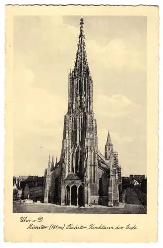 AK, Ulm a. D., Münster, 1938