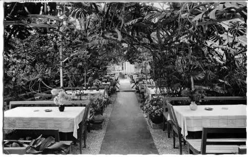AK, Lorch Württ., Waldkaffee Muckensee, Wintergarten mit Tanzdiele, 1958
