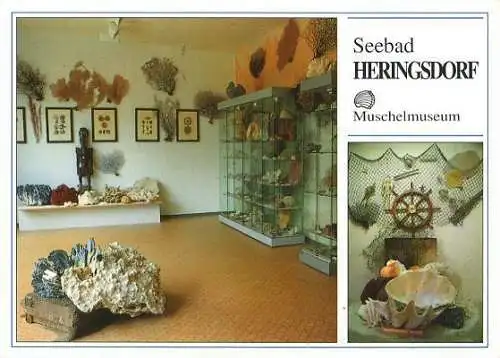 AK, Seebad Heringsdorf, Muschelmuseum, 2 Abb., ca. 1992