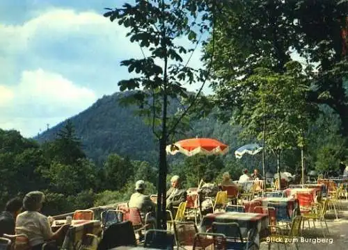 AK, Bad Harzburg, Gasthaus "Sennhütte", Terrasse, 1965