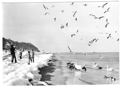 AK, Insel Usedom, Winterstimmung am Meer, 1982