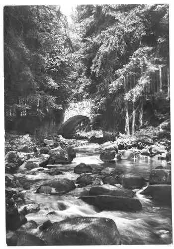 AK, Schierke Harz, Partie im Elendstal mit Brücke, 1979