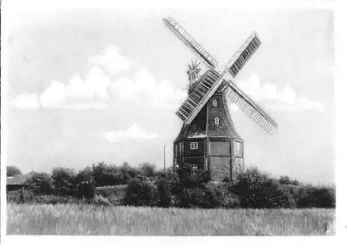 AK, Ostseebad Graal-Müritz, Mühle, um 1955