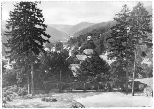 AK, Altenbrak Harz, Blick von der Waldbühne, 1964