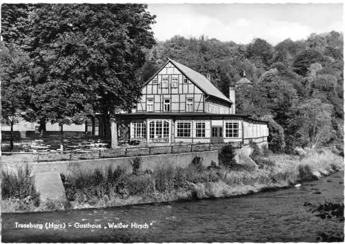 AK, Treseburg Harz, Gasthaus "Weißer Hirsch", 1963