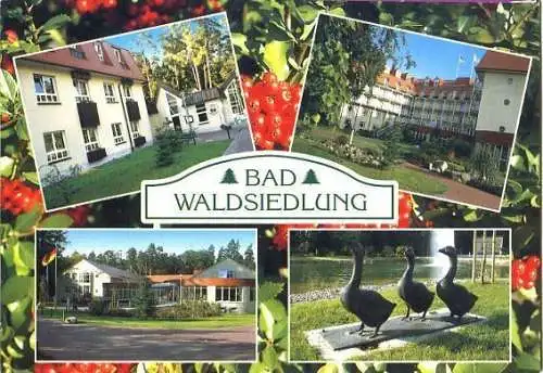 Ansichtskarte, Wandlitz, Bad Waldsiedlung, Brandenburg-Klinik