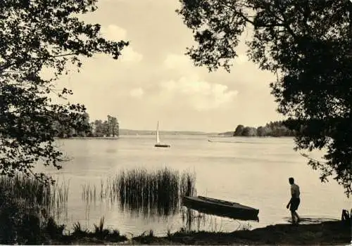 Ansichtskarte, Bad Saarow - Pieskow, Blick v. d: Alten Eichen 1962