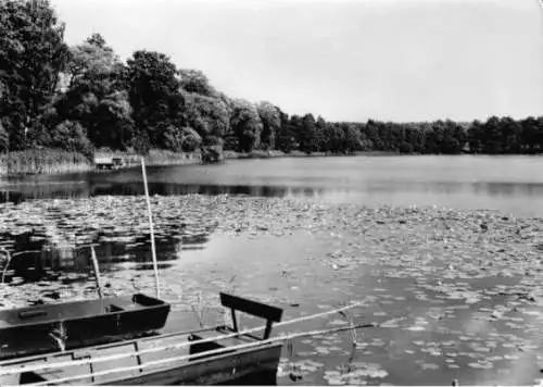 AK, Wandlitzsee, Die drei Heiligen Pfühle, Am ersten Pfuhl, 1964