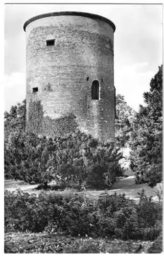 Ansichtskarte, Salzwedel, Im Burggarten, 1962