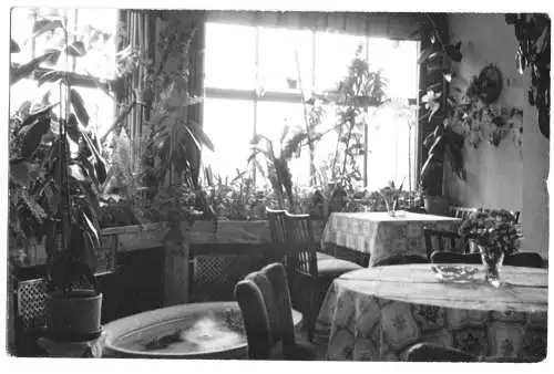 Ansichtskarte, Oberhof Thür., HOG Luisensitz, Gastraum, Wintergarten, 1958, Echtfoto