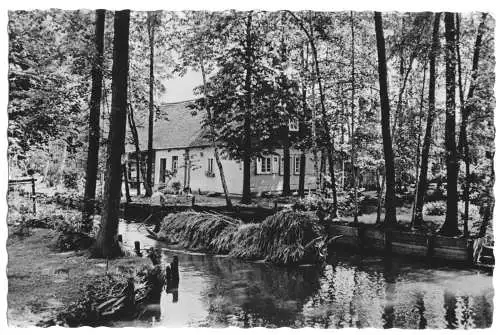 AK, Lehde Spreewald, Gehöft, Spreekahn mit Heu, 1959