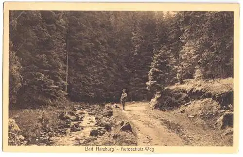 AK, Bad Harzburg, Autoschutz-Weg, um 1914
